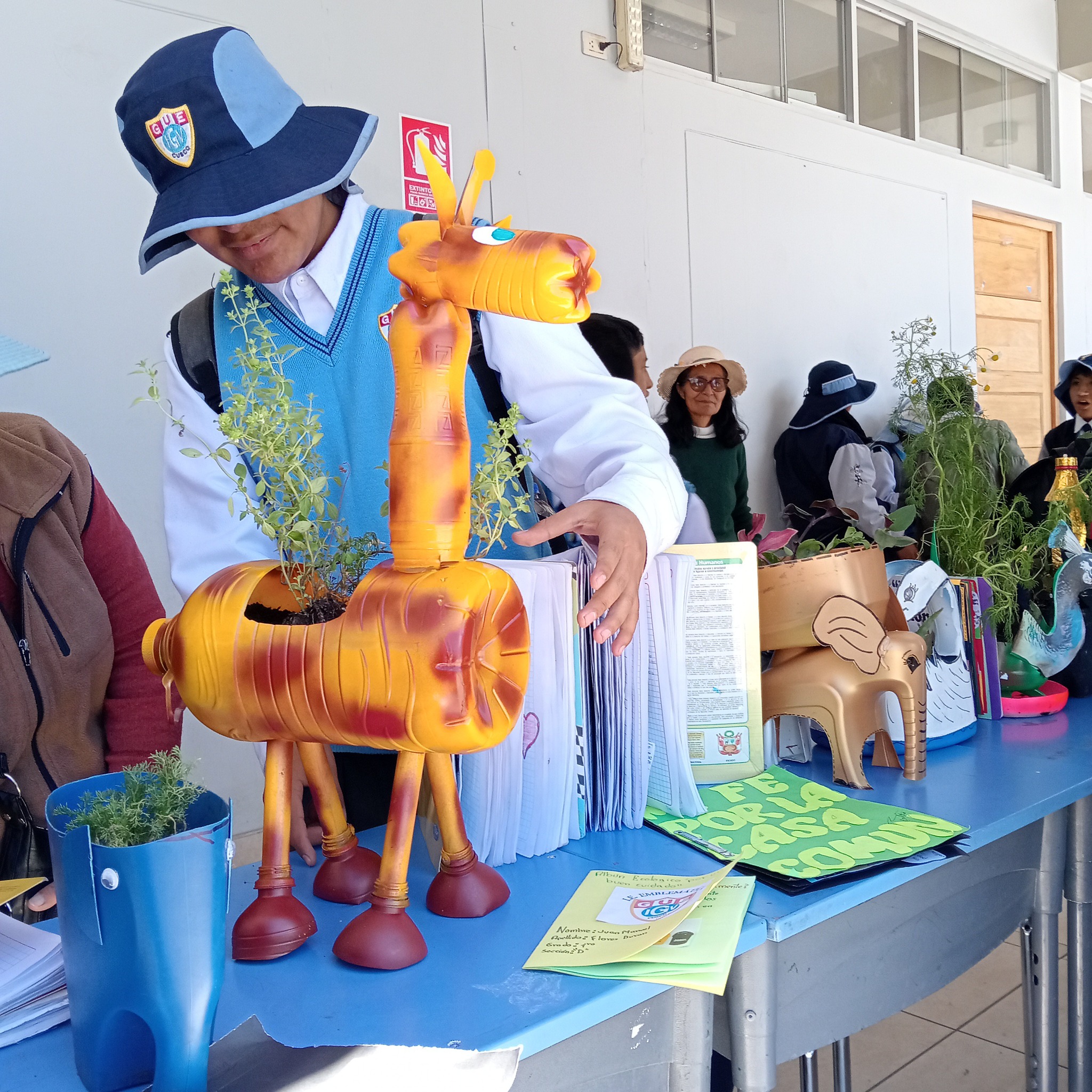 Imagen de galería 5